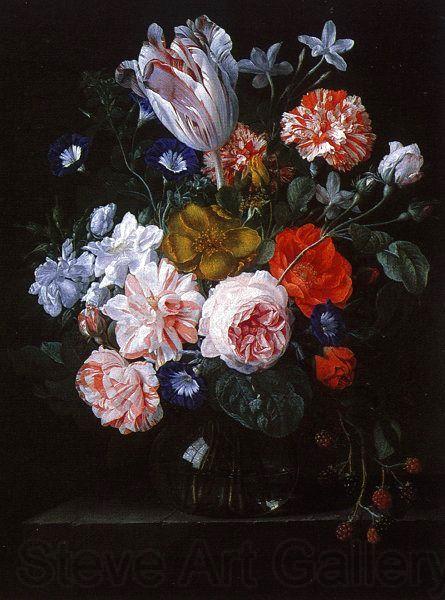 Nicolaes Van Verendael A Tulip, Carnations and Morning Glory in a Glass Vase France oil painting art